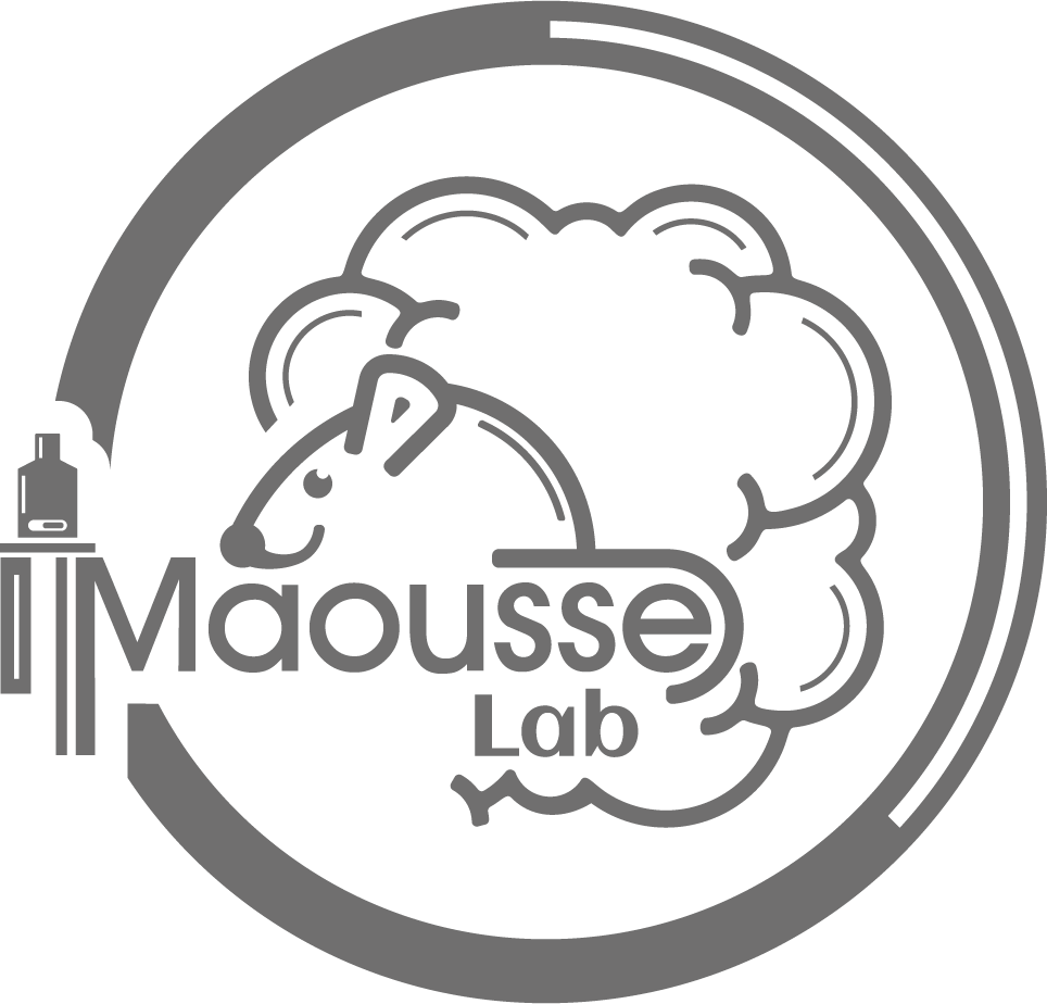 Maousse Lab